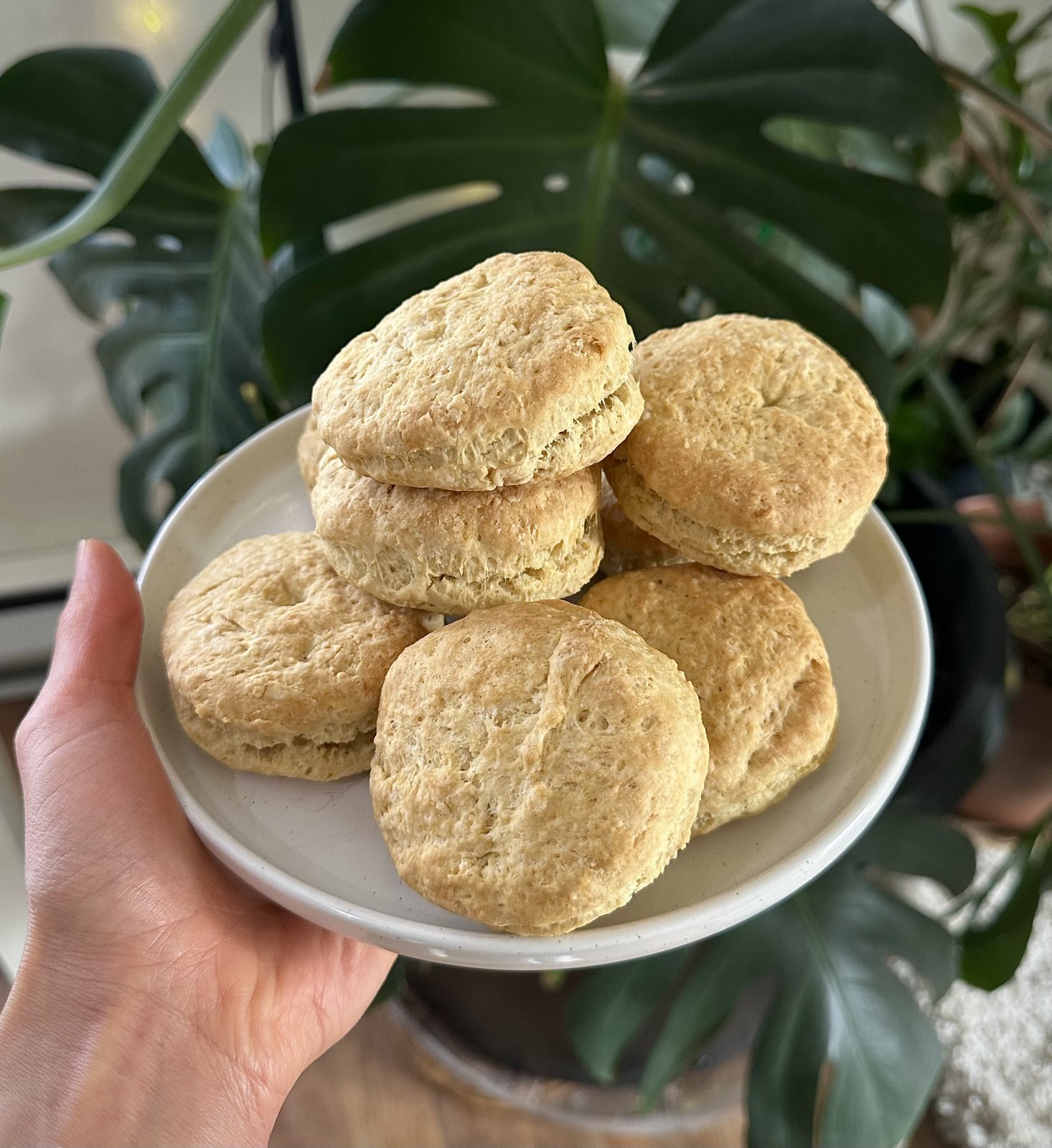 Dairy-free, 7-ingredient biscuits — for breakfast, dinner, or your holiday spread