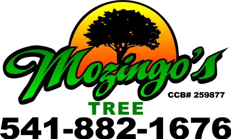 Mozingo's Tree logo