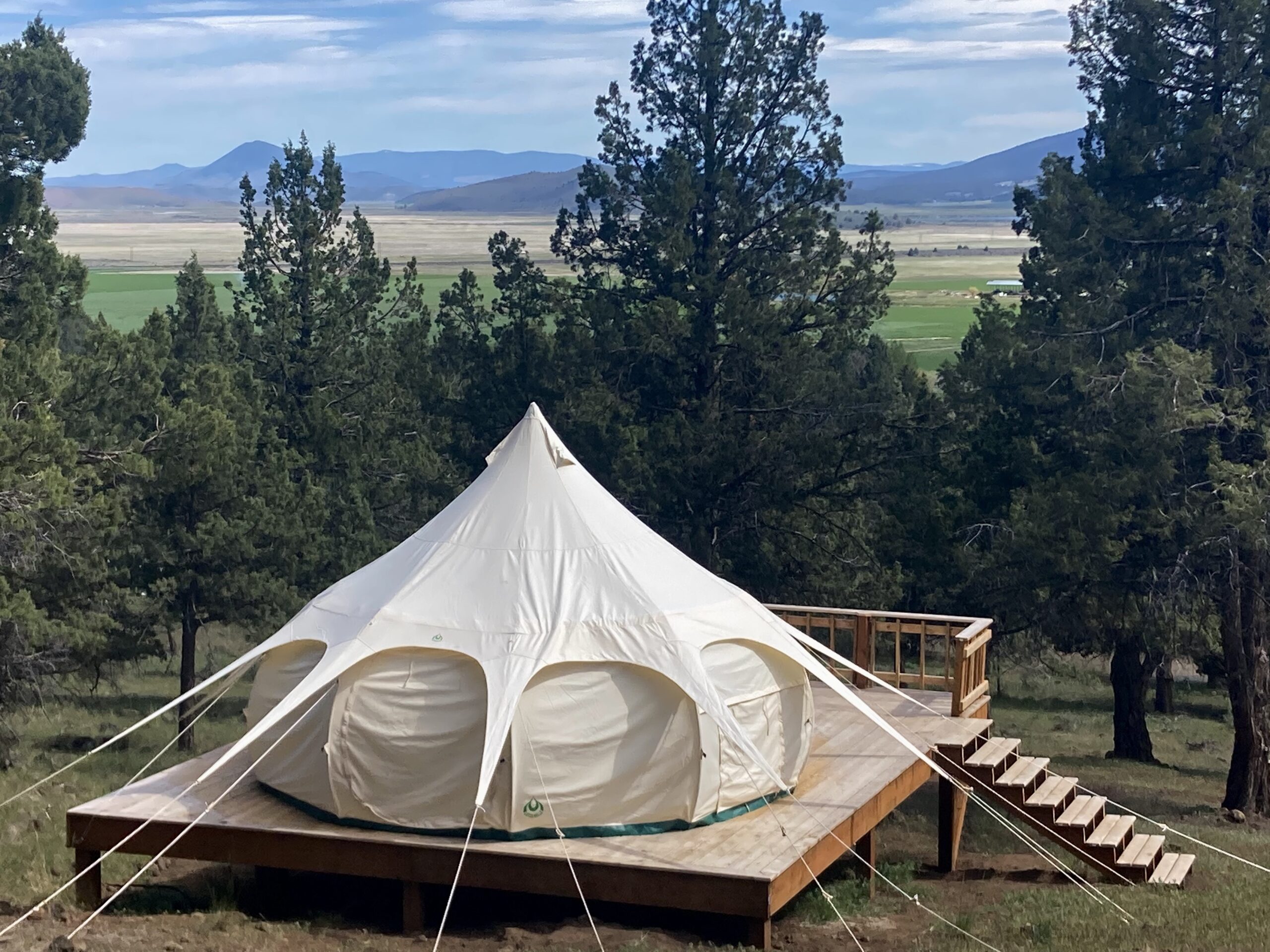 Lotus bell tent among the pines at The Aerie