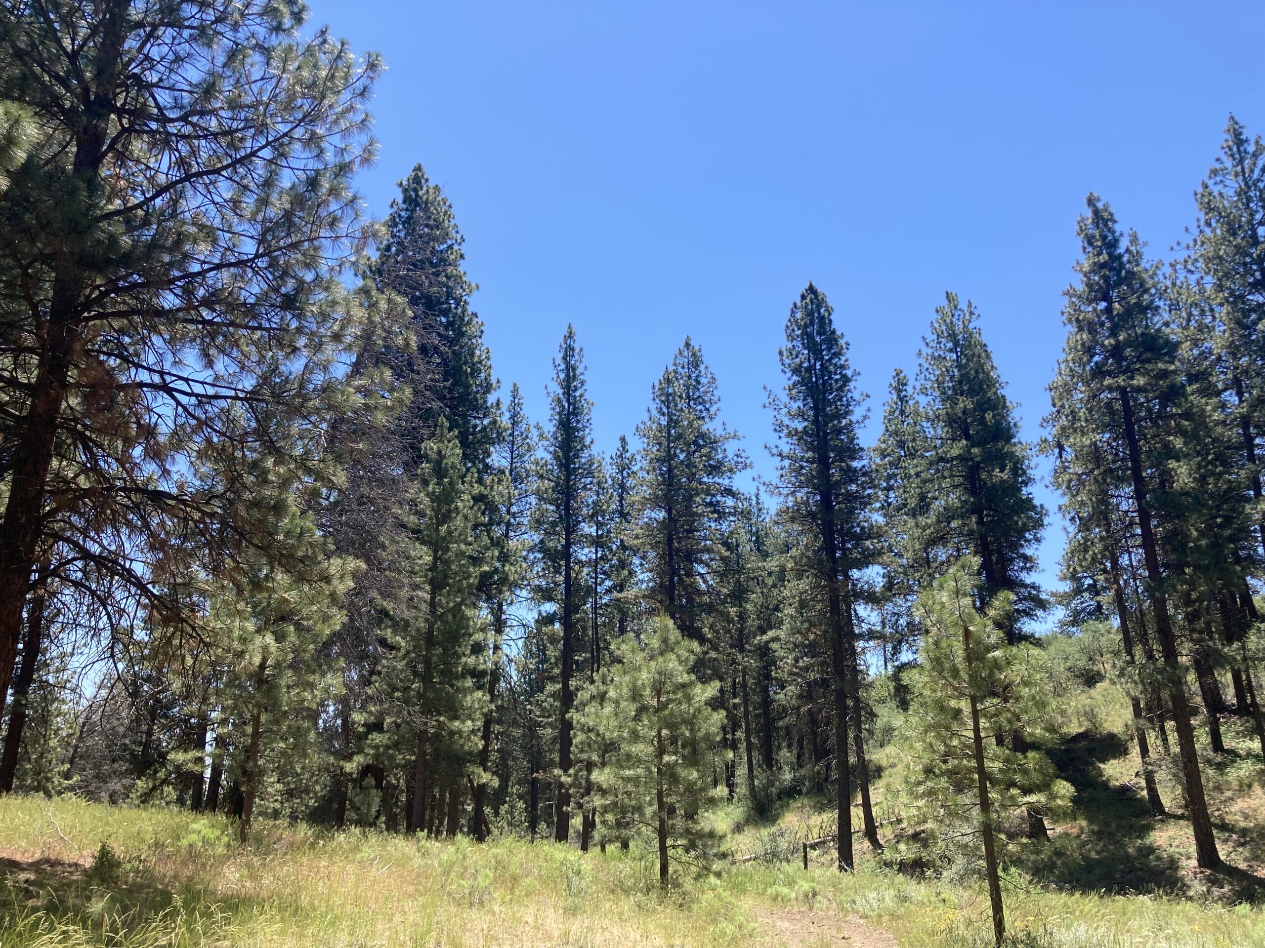 Bear Valley Wildlife Refuge adjacent to The Aerie