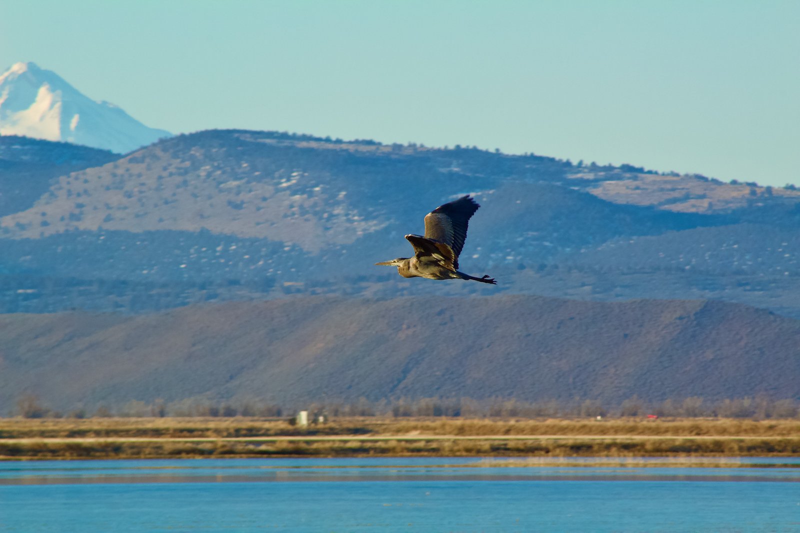 04-Klamath-Falls-Wingwatchers — photo 15