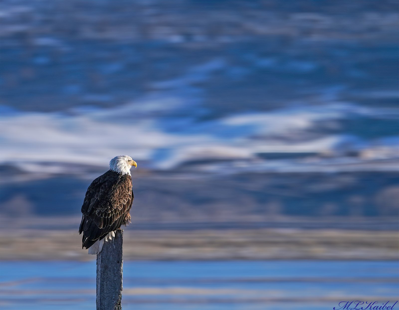 04-Klamath-Falls-Wingwatchers — photo 17