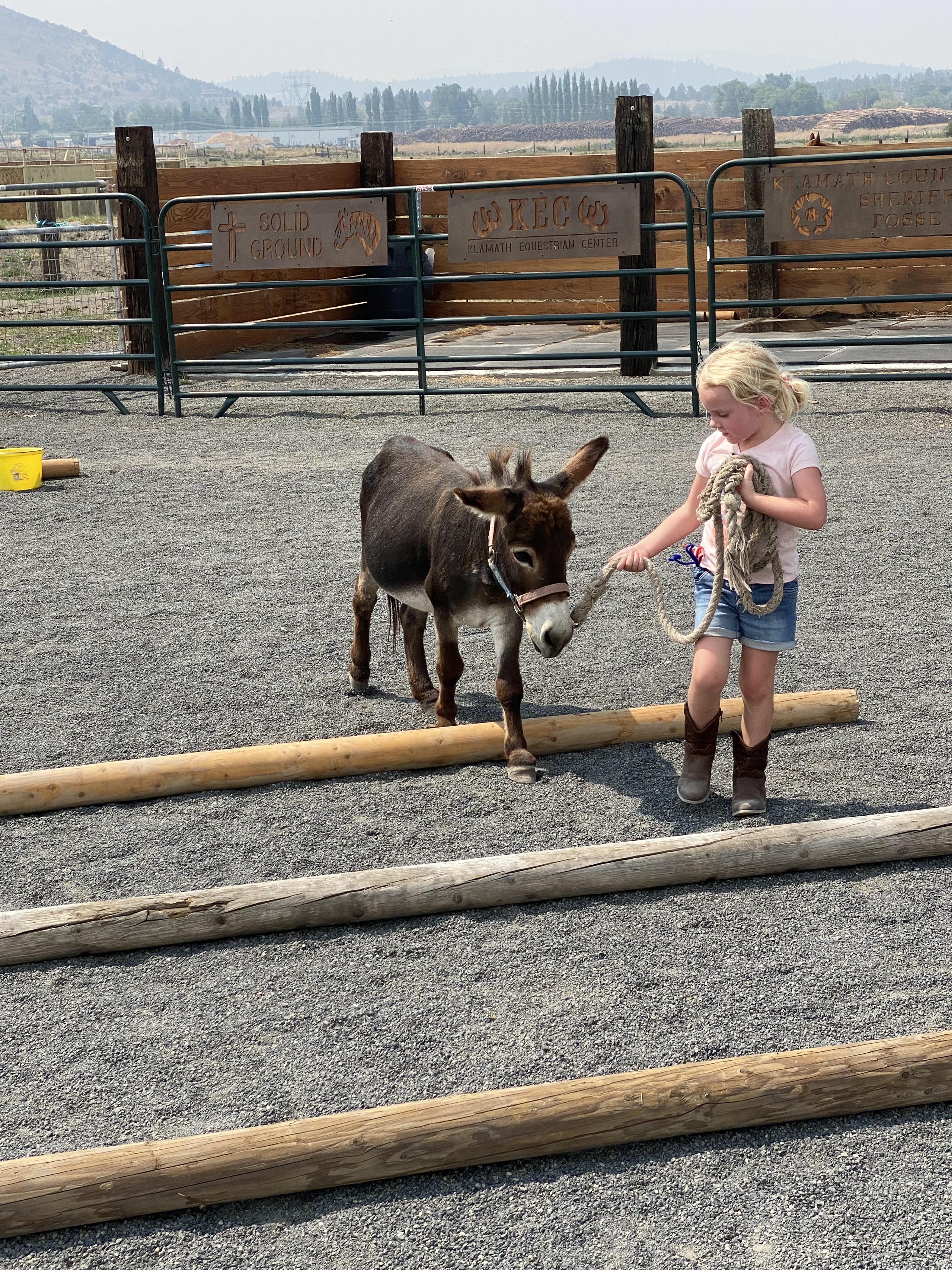 Solid Ground Equine Assisted Activities and Therapy Center business photo