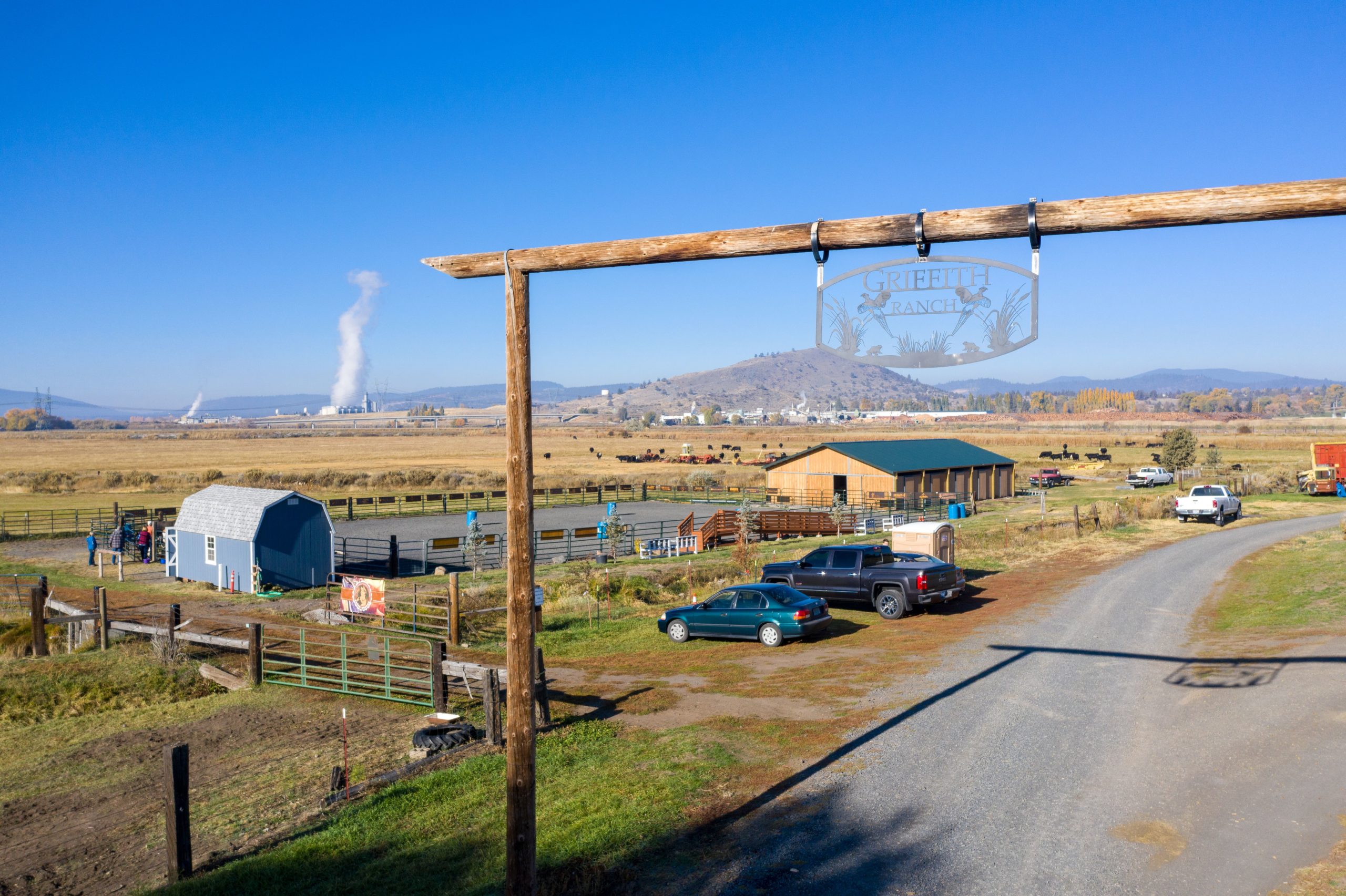 Solid Ground Equine Assisted Activities and Therapy Center business photo