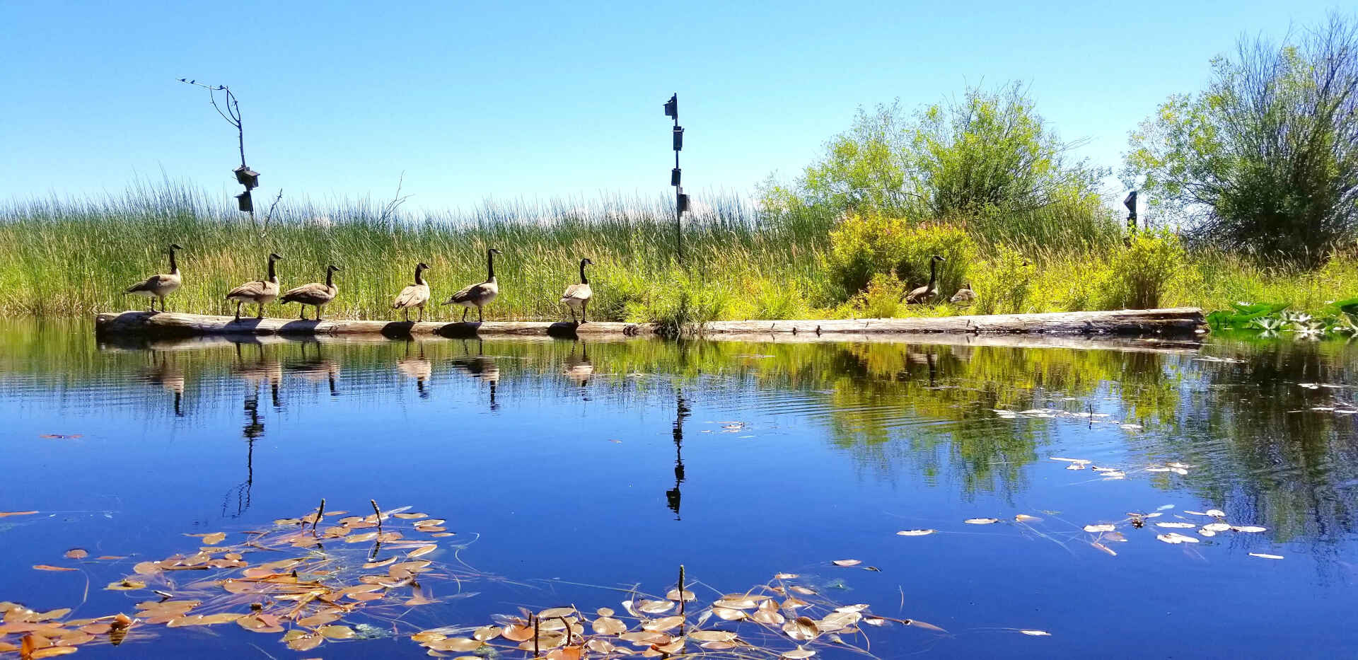 Adventure Oregon of Klamath Falls | Guided Tours & Kayak Rentals Adventure Oregon of Klamath Falls | Guided Tours & Kayak Rentals